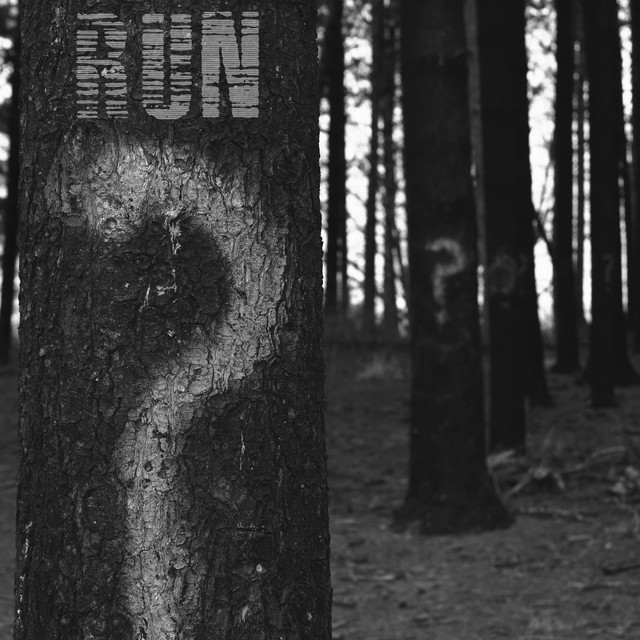 Run cover art