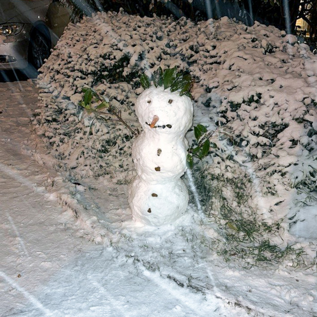 Winter Nights
