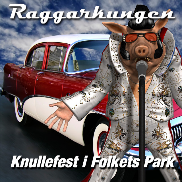Knullefest i Folkets Park cover art