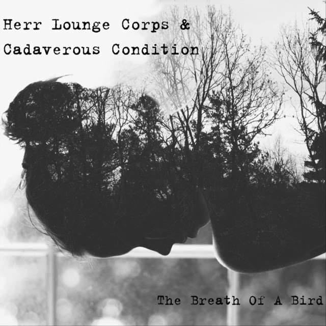 The Breath of a Bird cover