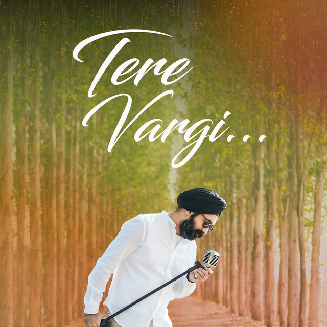 Tere Vargi