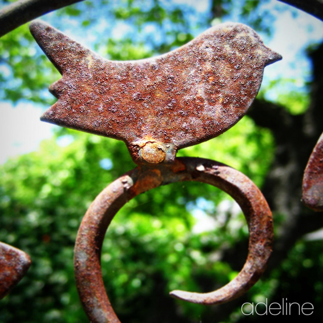 Adeline (single)