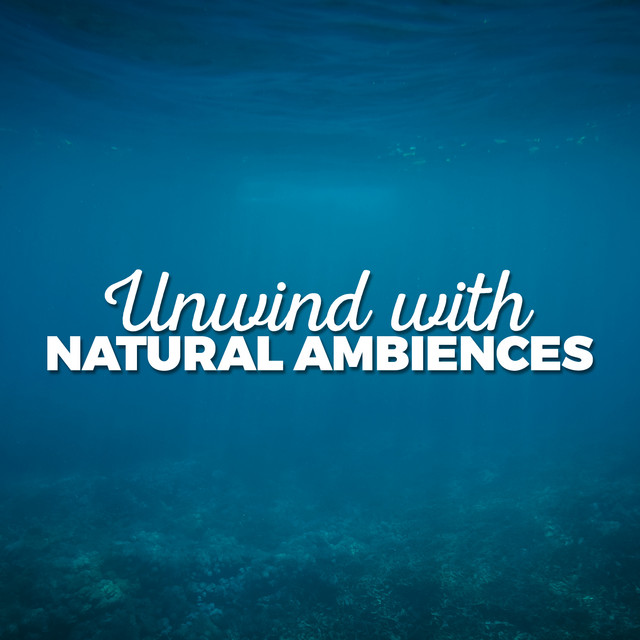Unwind with Natural Ambiences cover art