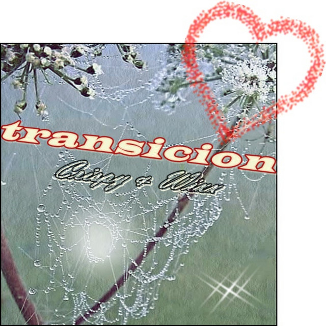 Transicion cover art