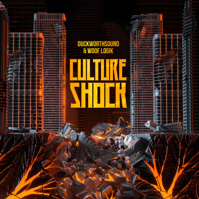 Culture Shock cover