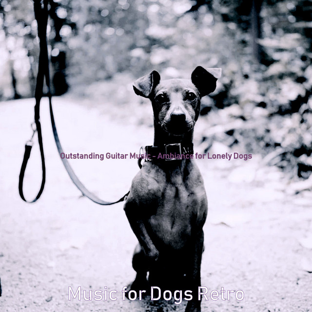 Outstanding Guitar Music - Ambiance for Lonely Dogs cover art