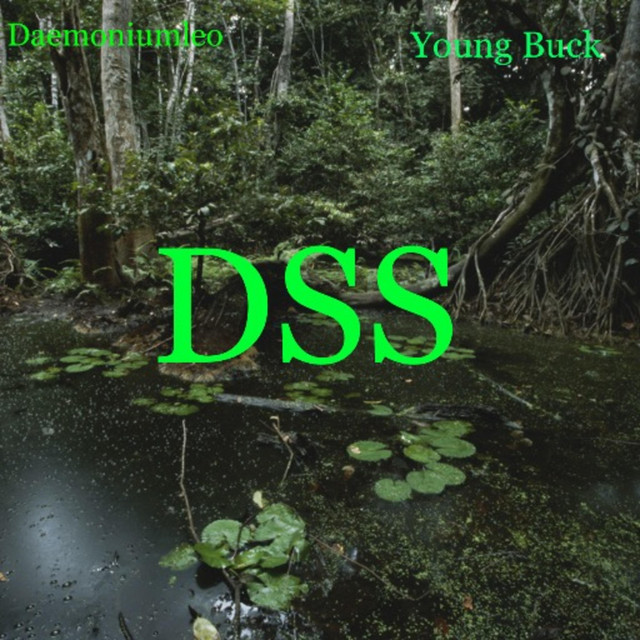 DSS