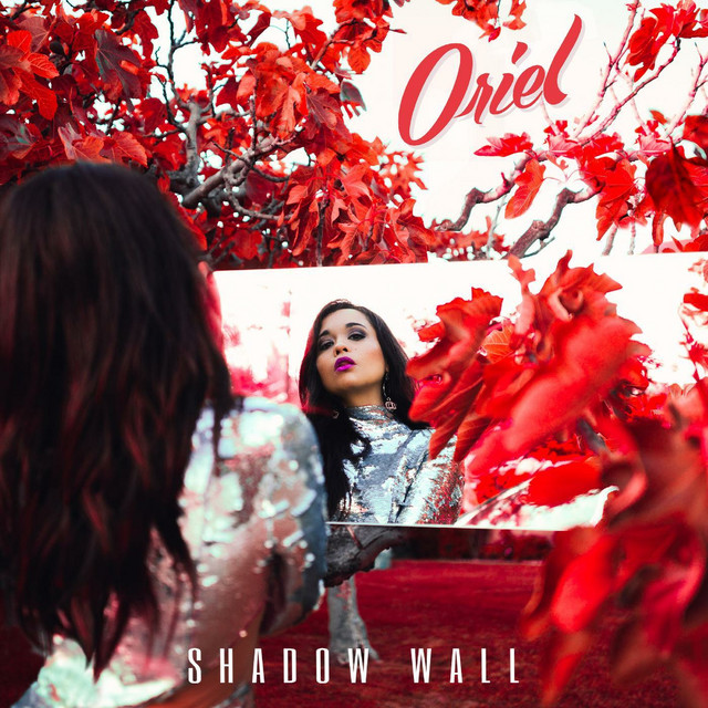 Shadow Wall cover art