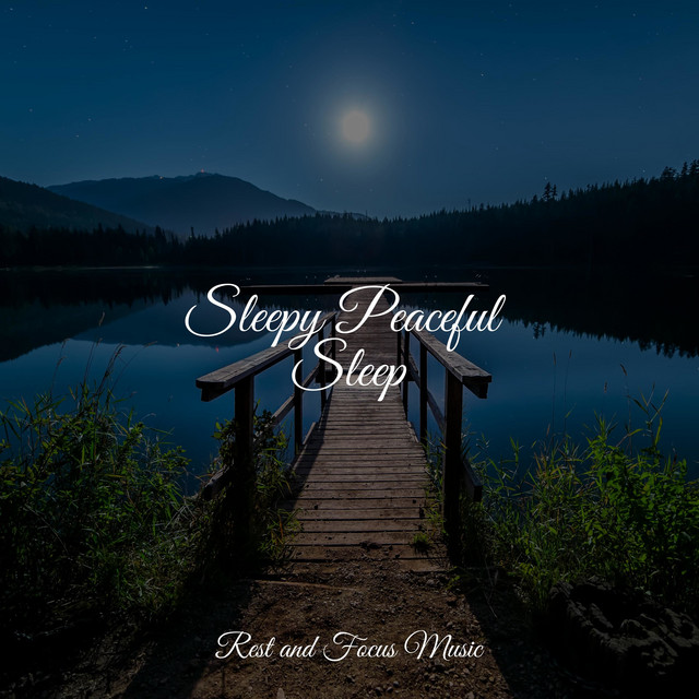 Sleepy Peaceful Sleep - Album by Music For Absolute Sleep | Spotify