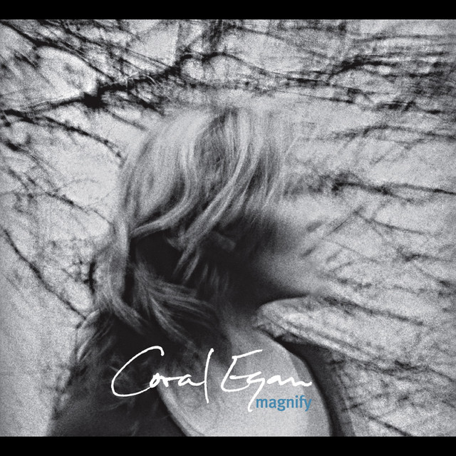 Magnify cover art
