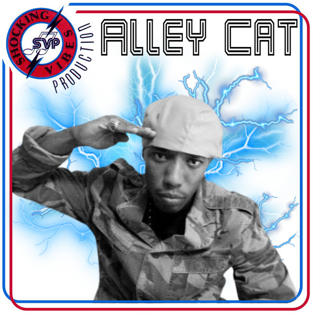 Shocking Vibes Presents: Alley Cat cover art