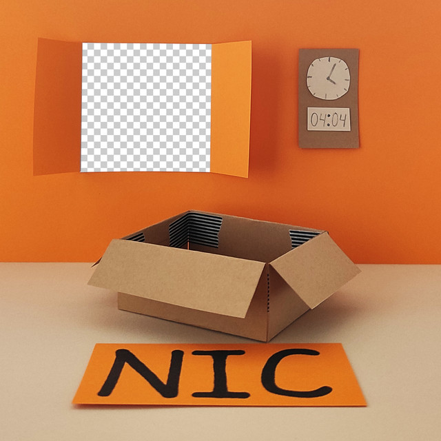 Nic cover art