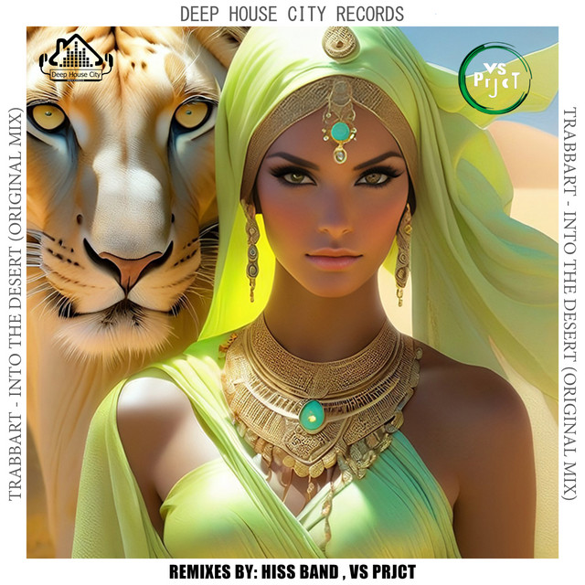 Into the Desert cover art