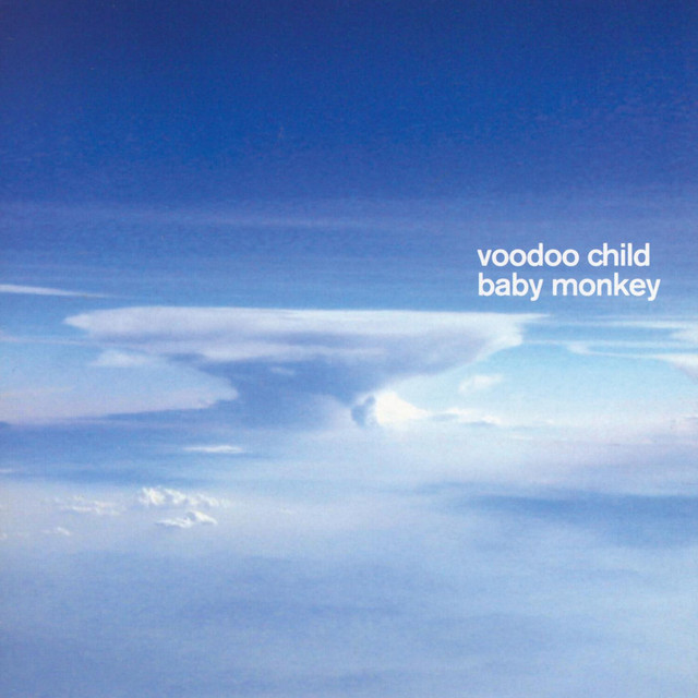 Baby Monkey cover art