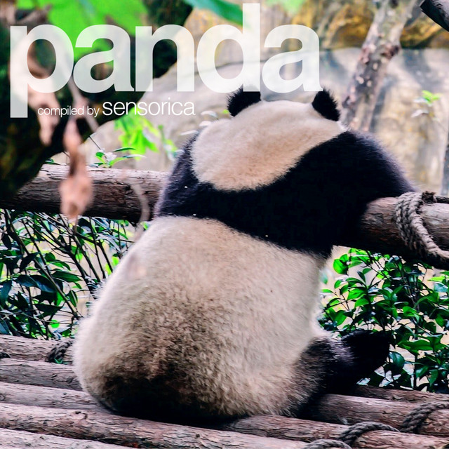 Panda Volume Two cover art