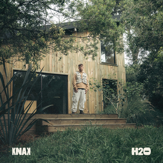 H2O cover art