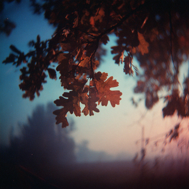 Autumn Calls