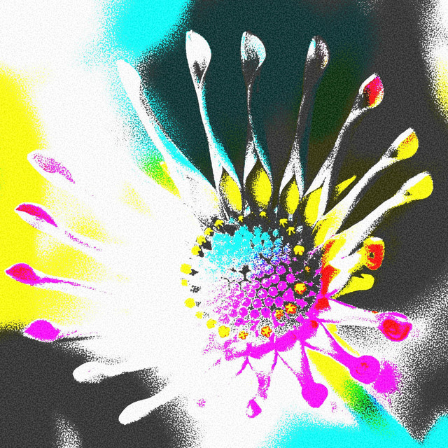 SJUSH001 cover art