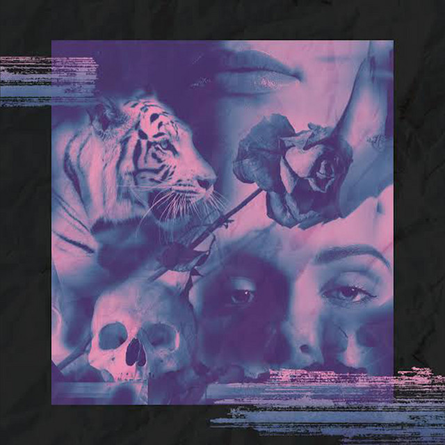 New Sensations cover