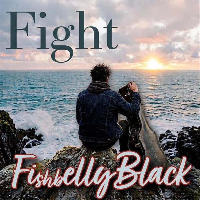 Fight cover