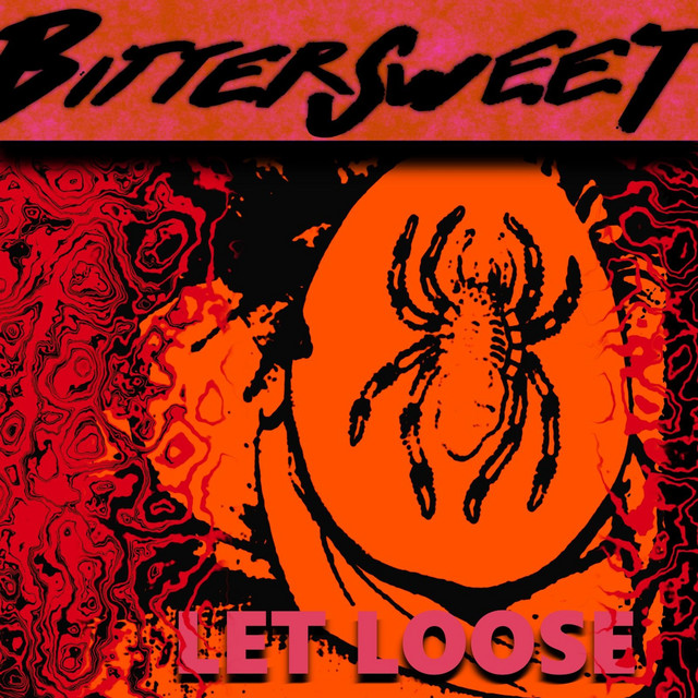 Let Loose cover art