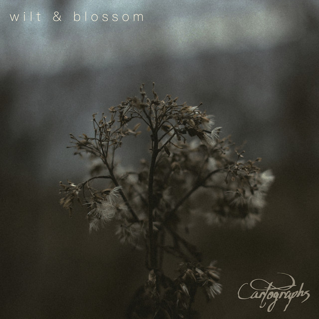 Wilt & Blossom cover art