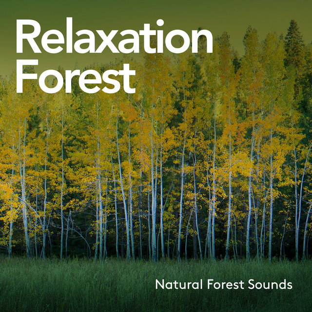 Relaxation Forest - Album by Natural Forest Sounds | Spotify