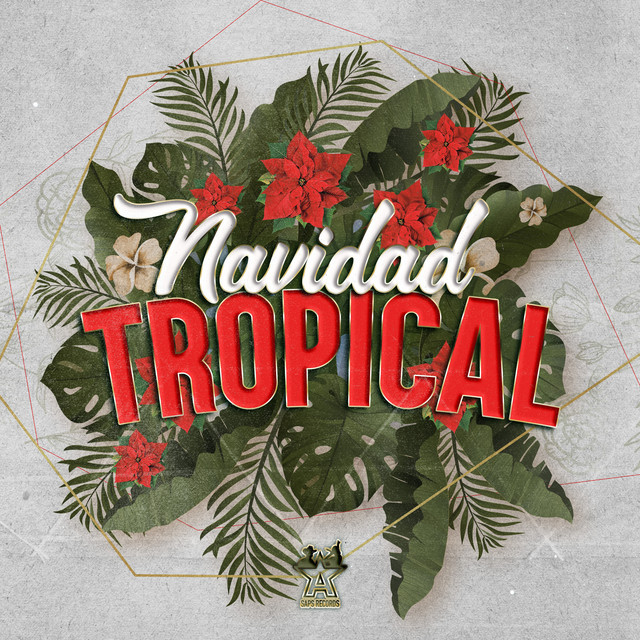 Mi Navidad No Se Apaga