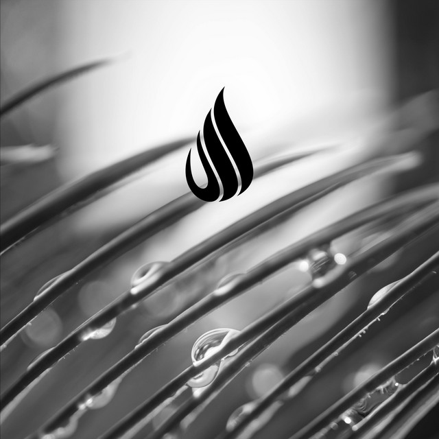 Imbrifer by Epiphonema