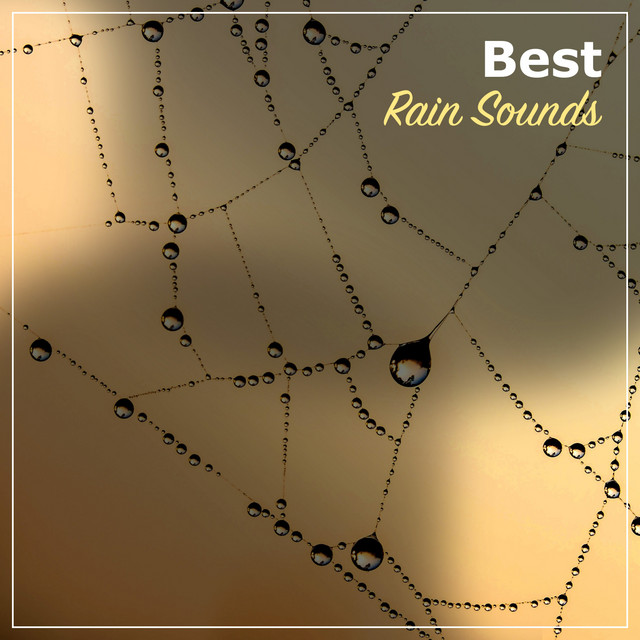 15 Best Rain and Nature Sounds cover art