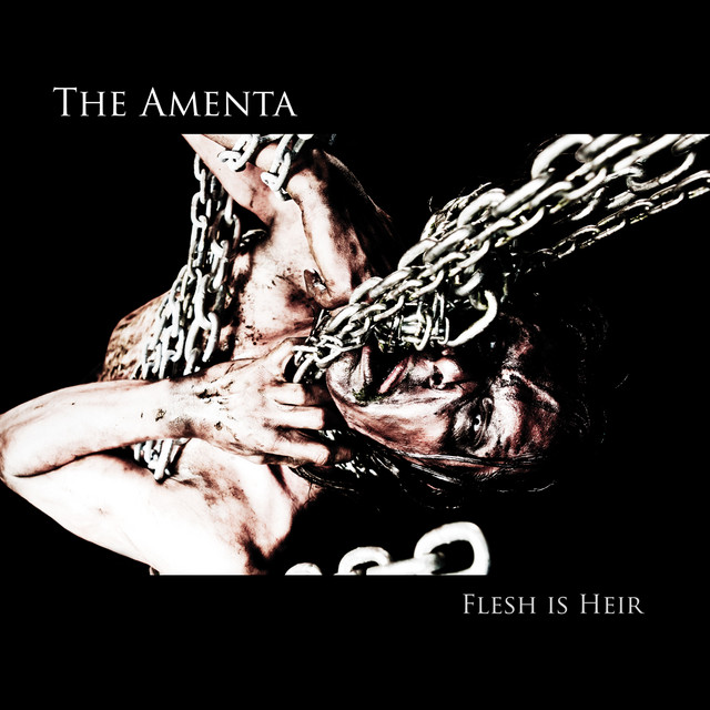 Flesh Is Heir cover art