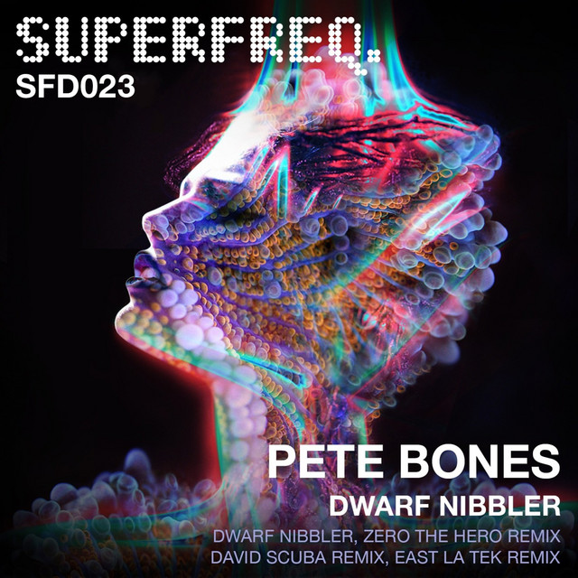 Dwarf Nibbler - David Scuba Remix cover art