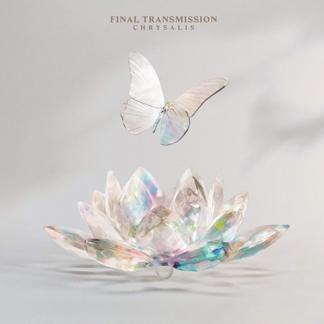 Chrysalis cover art