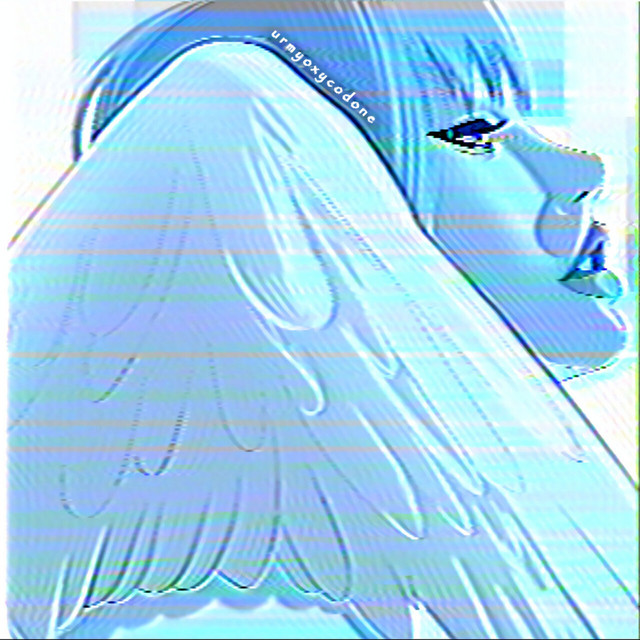 Reincarnated cover art