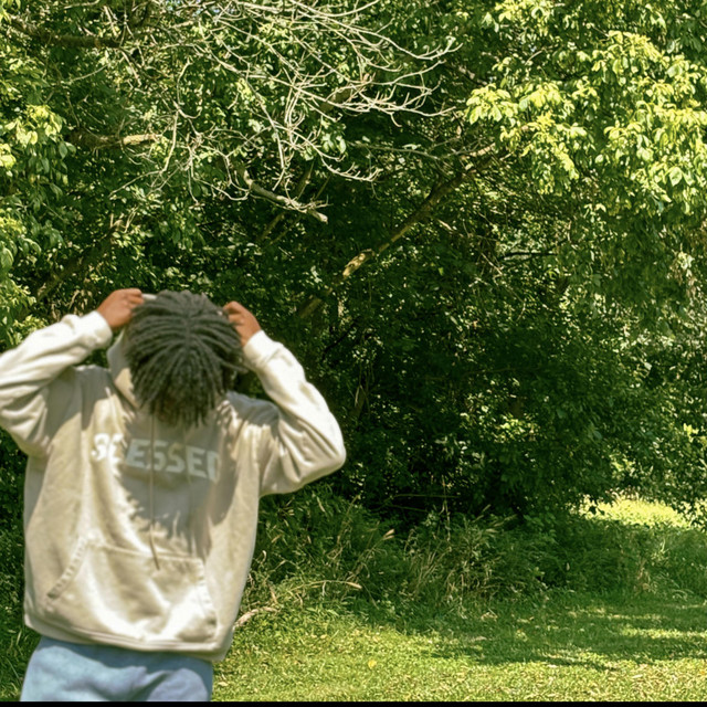 Lost cover art