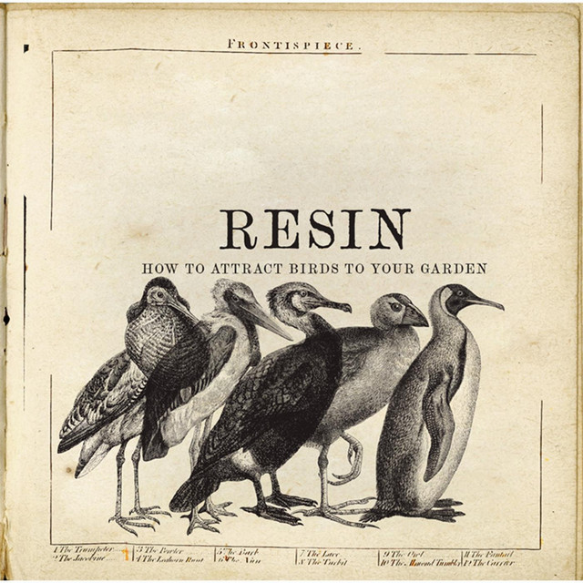 Resin