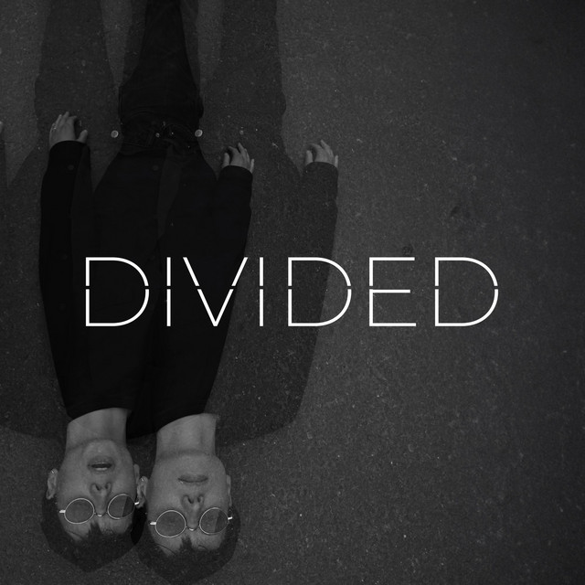 Divided cover art