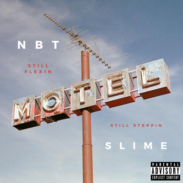 Still Flexin, Still Steppin cover art