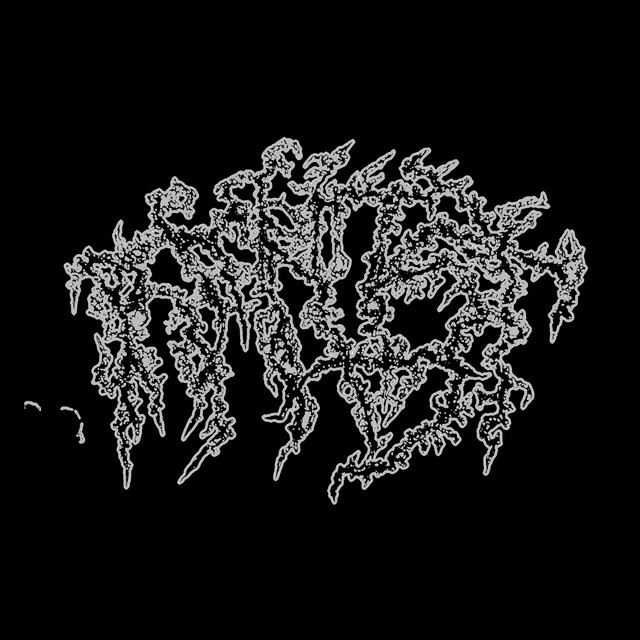 amnist cover art