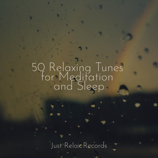 50 Relaxing Tunes for Meditation and Sleep - Album by Zen | Spotify