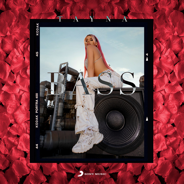 Bass cover art