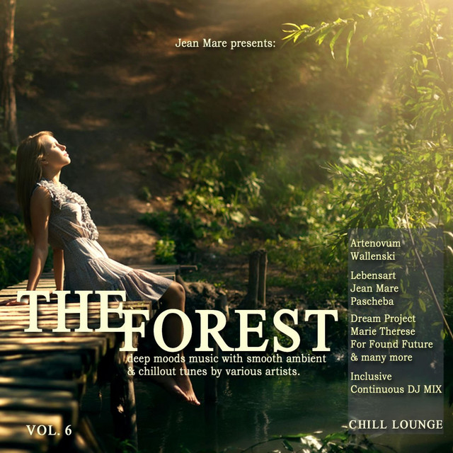 The Forest Chill Lounge, Vol. 6 (Deep Moods Music with Smooth Ambient & Chillout Tunes) cover