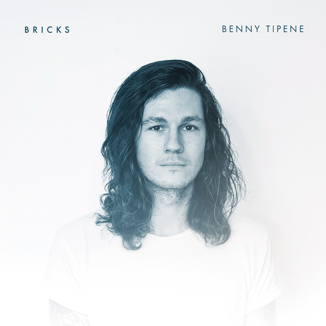 Bricks cover art