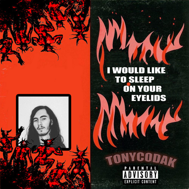 I Would Like to Sleep on Your Eyelids cover art