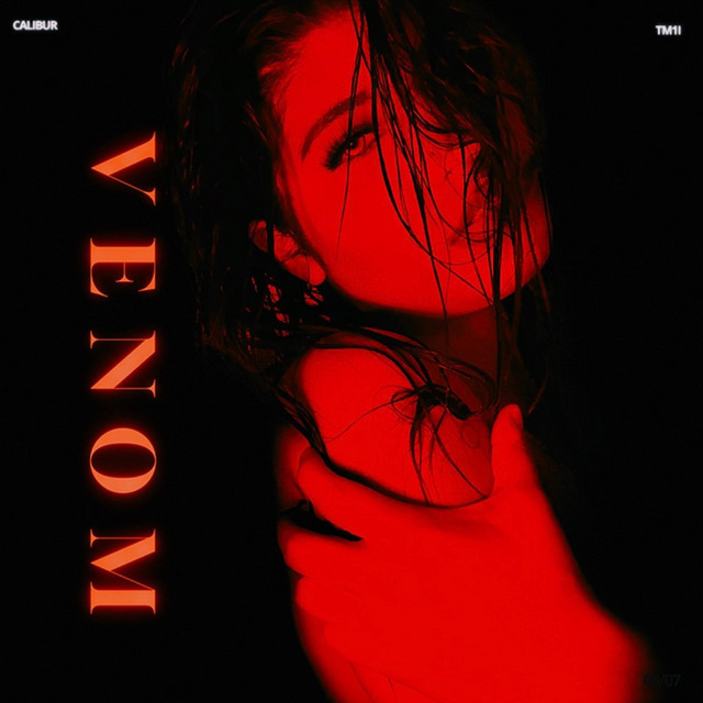 VENOM - Slowed & Reverb