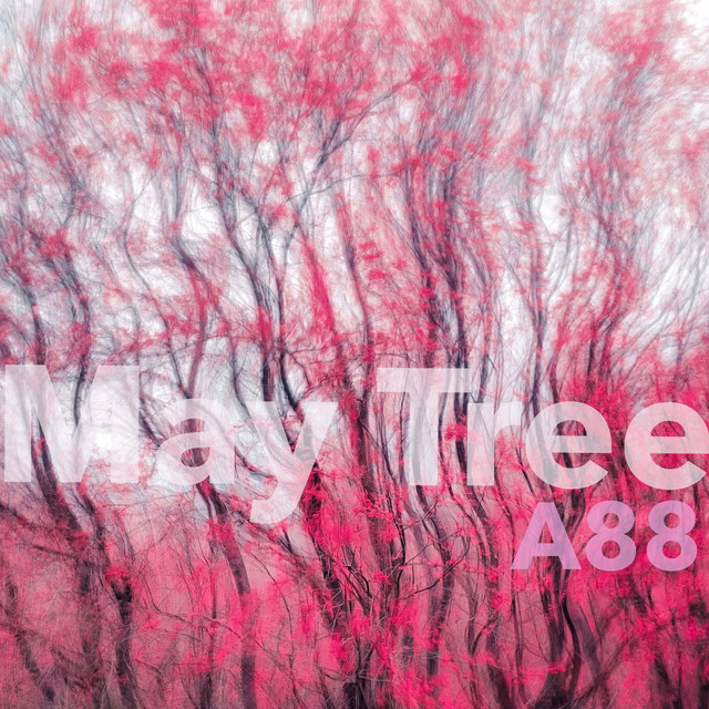 May Tree cover