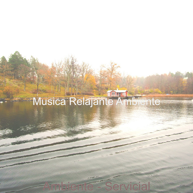 Ambiente - Servicial cover art