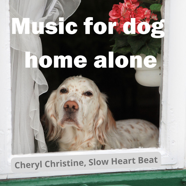 Music for dog home alone cover art