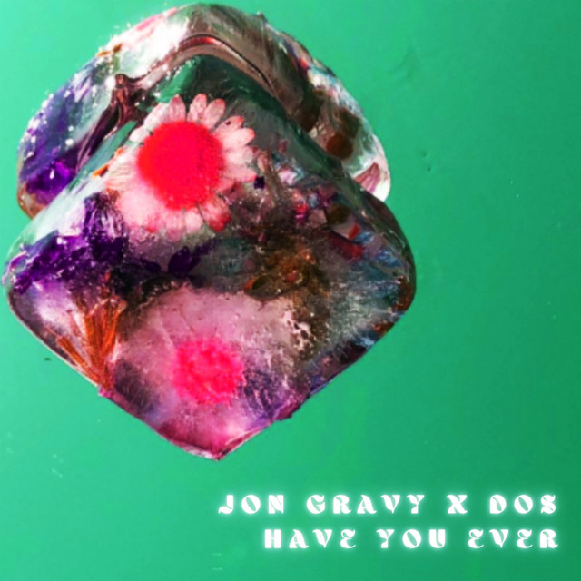 Have You Ever cover art