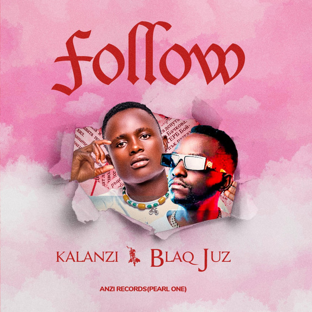 Follow cover art